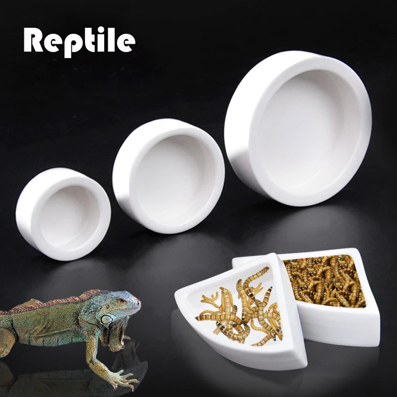 Ceramics Reptile Feeder Water Food Dish Feeding Bowl For Turtle Lizard Snake Basin Gecko Chameleon