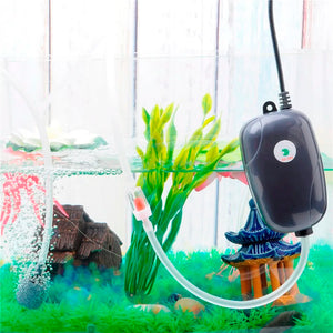 Aquarium Air Pump Fish Tank Mini Compressor Single Double Outlet with Check Valve Tube Aquatic Accessories 220V 3W 5W