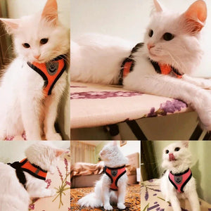 Cat Harness Vest Walking Lead Leash