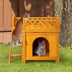 2-Story Wooden Feral House