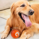 1-10PCS Smart Dog Toy Ball Electronic Interactive Pet Toy