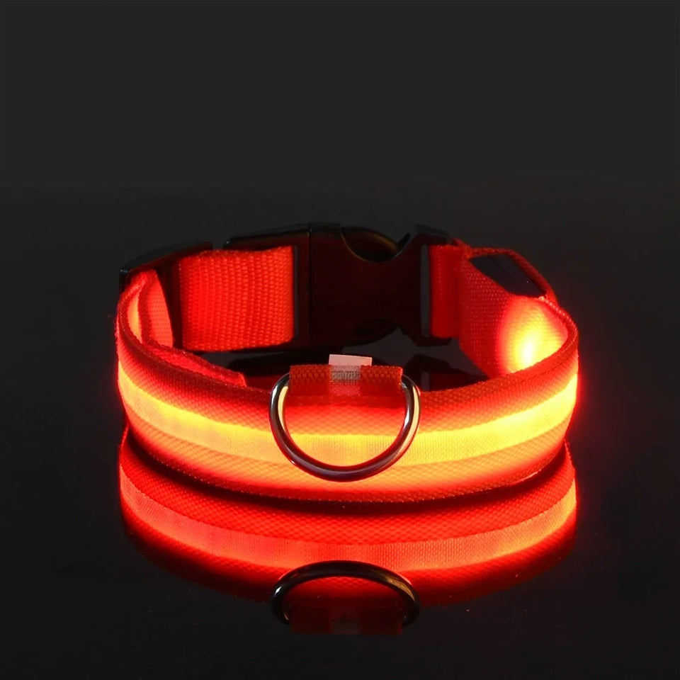 Night Safety Flashing Glow Dog Collar Nylon