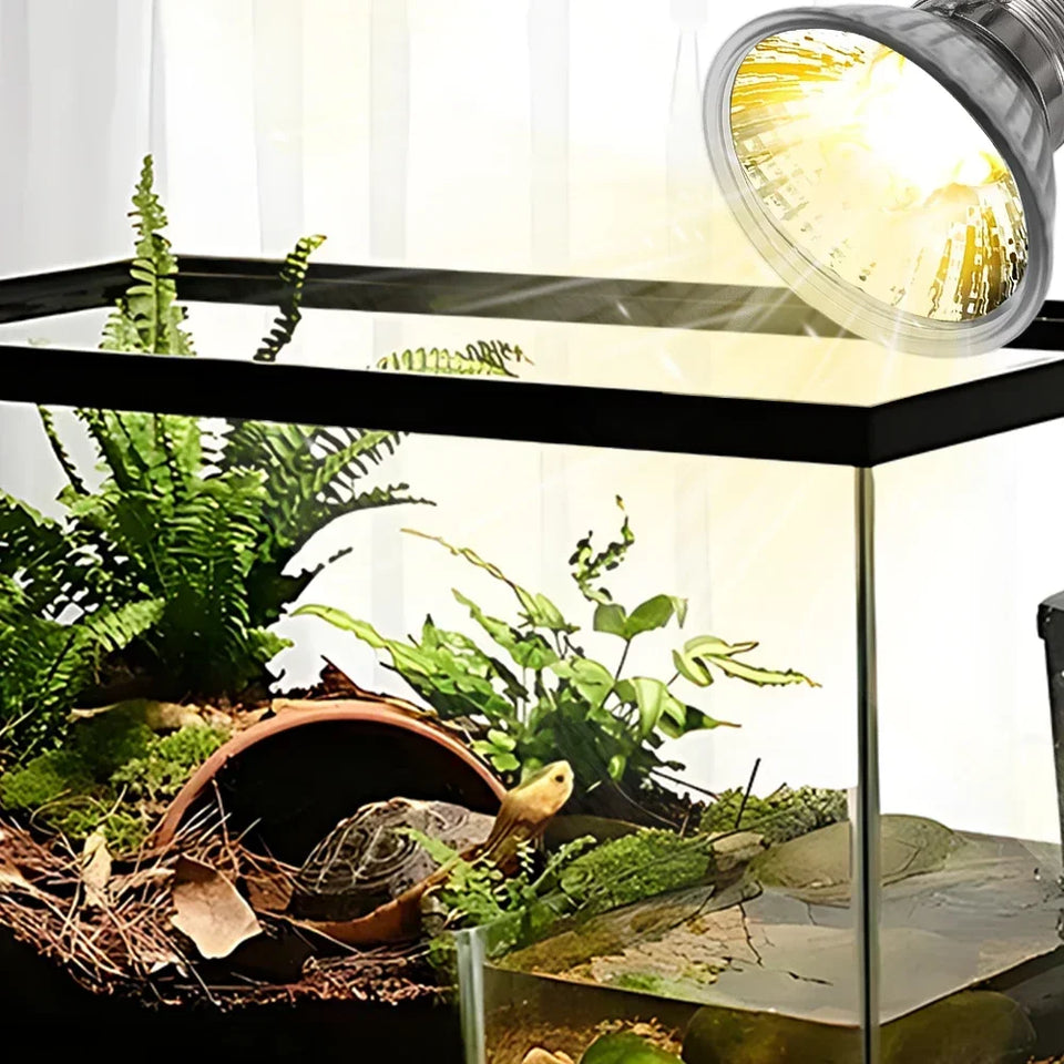 5/1Pc Reptile Pet Heating Lamp Tortoise Lizard Basking Lamp E27 Chameleon Snake Turtle Promoting Growth UVB Sunlight 25W 50W 75W