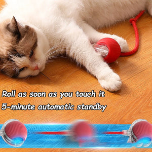 Cat Interactive Ball Toys 3 Mode Automatic Rolling Ball