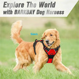 Dog Collars Harness Big Vests Leash