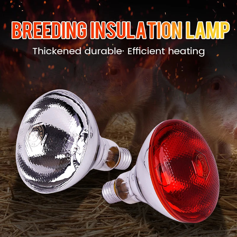 220V Heating Light Bulb Poultry Reptile Plant Amphibian Heating Lamp Livestock Infrared Insulation Heating 100W/150W/200W/250W