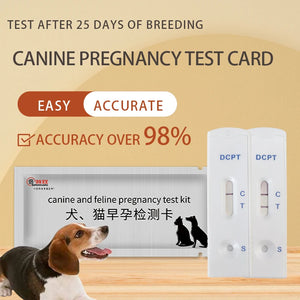 Dog Early Pregnancy Test Card Early Pregnancy Dog Pregnancy Test Paper Pet Test Supplies Pregnancy Test Stick