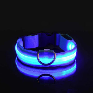 Night Safety Flashing Glow Dog Collar Nylon