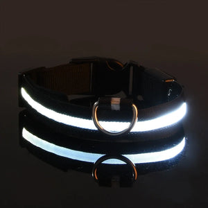 Night Safety Flashing Glow Dog Collar Nylon