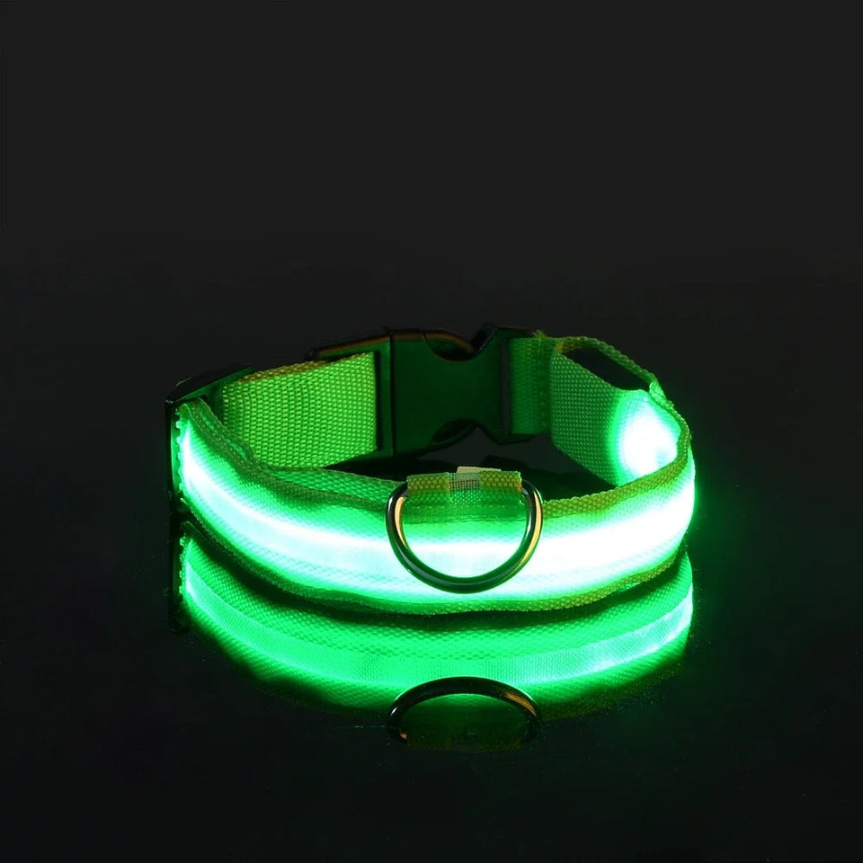 Night Safety Flashing Glow Dog Collar Nylon