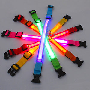 3 Modes Dog Luminous Charge Collar