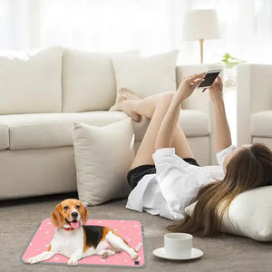 Heating Pad For Cats Pet Pad Rapid Heating USB Mat