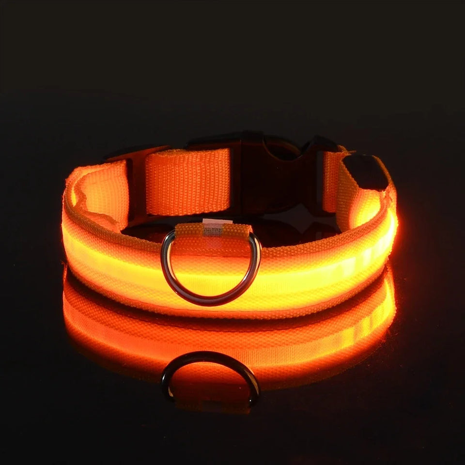 Night Safety Flashing Glow Dog Collar Nylon