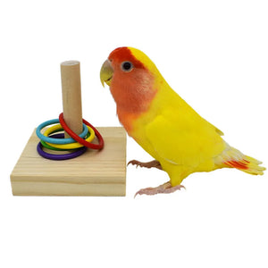 Bird Training Toys Set Wooden Block Puzzle Toys For Parrots Colorful Plastic Rings Intelligence Training Chew Toy Bird Supplies