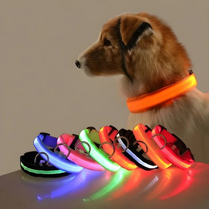 Night Safety Flashing Glow Dog Collar Nylon