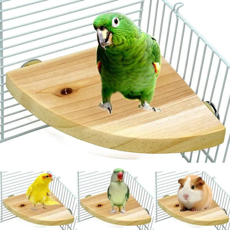 Fan-shaped Bird Parrot Wooden Stand Rack Bird Cage Accessories Perch for Small Animal Chinchilla Squirrel Hamster Stand Board