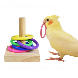 Bird Training Toys Set Wooden Block Puzzle Toys For Parrots Colorful Plastic Rings Intelligence Training Chew Toy Bird Supplies