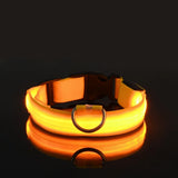 Night Safety Flashing Glow Dog Collar Nylon