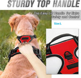 Dog Collars Harness Big Vests Leash